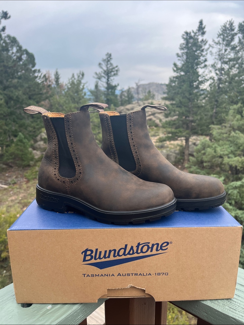 Blundstone Women's Originals #1351 High Top Boots in Rustic Brown AU3 USW6
